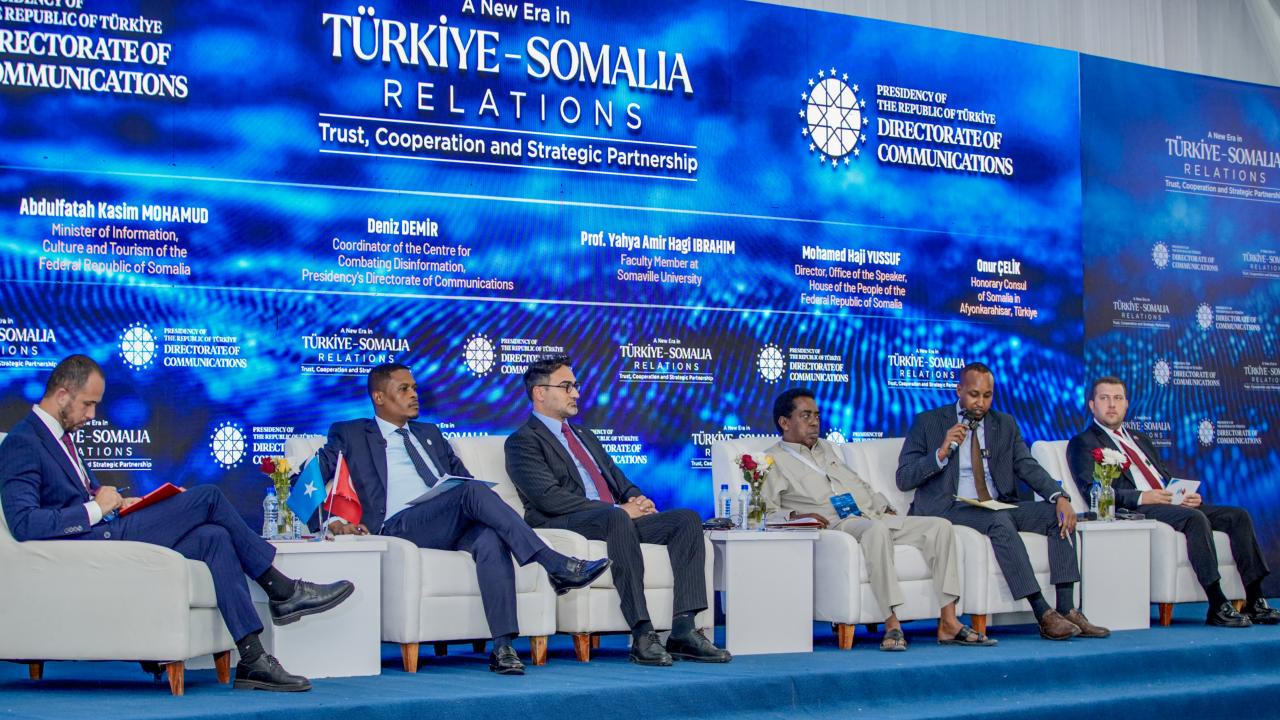 somali-panel-2487785.jpg