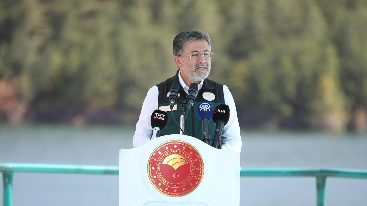 ibrahim-yumakli-aa-2388855.jpg