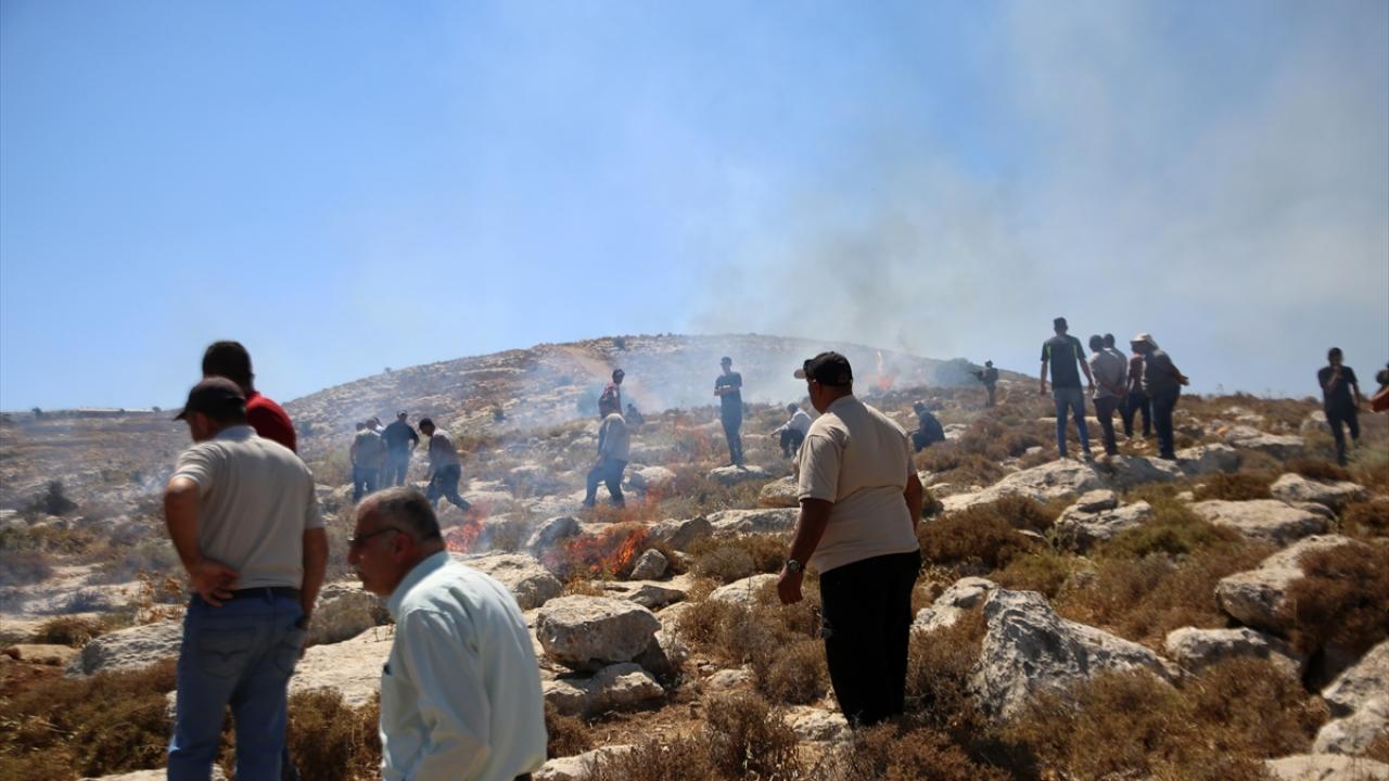 bati-seria-israil-aa-2467534.jpg