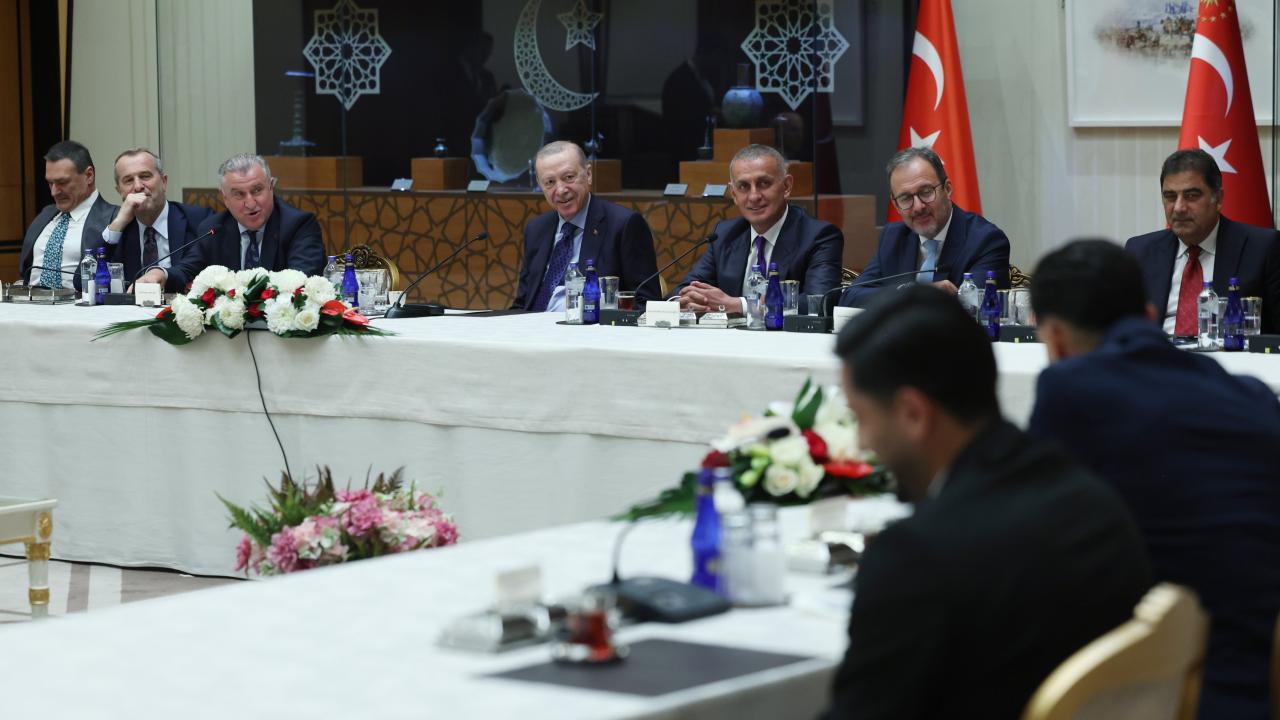 erdogan-2482145.jpg
