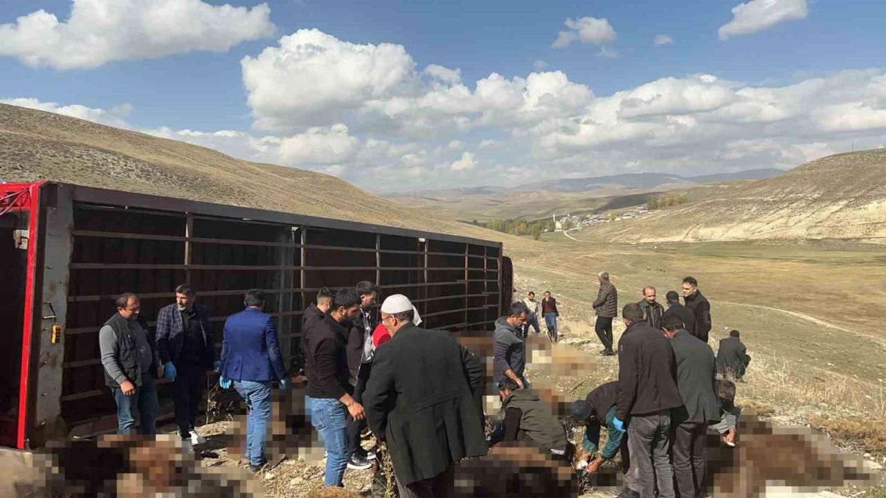 erzurum-kaza-2496527.jpg