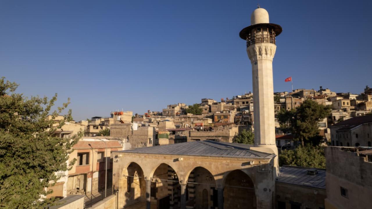 cami-aa-2484546.jpg