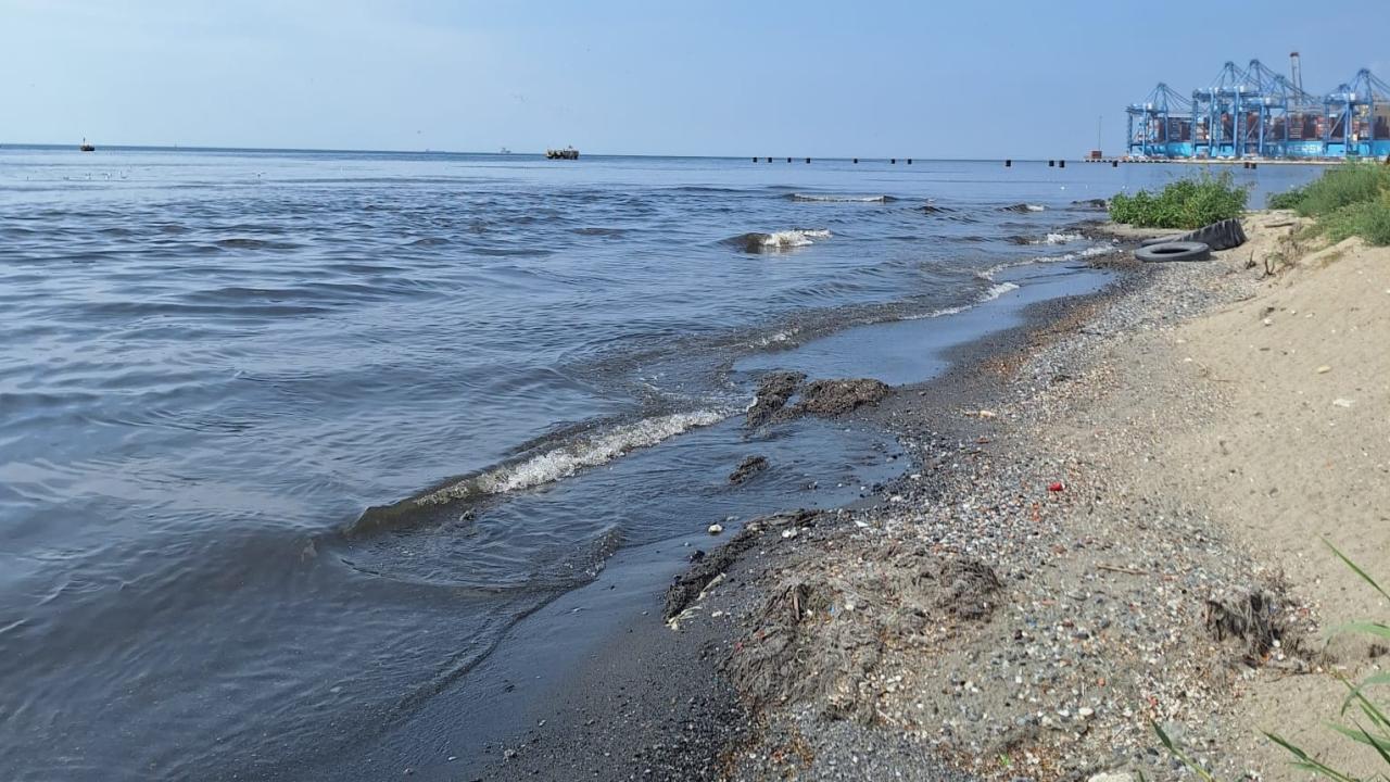 ambarli-2481661.jpg