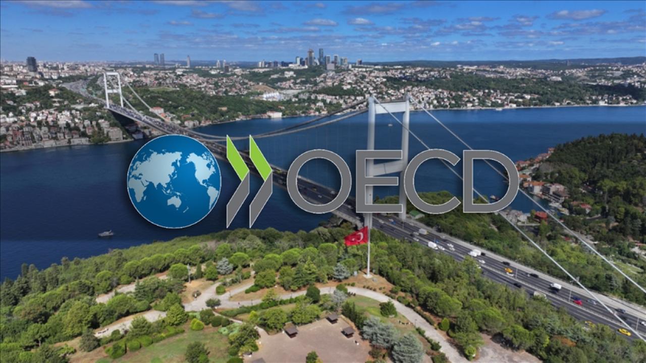 oecd-2382003.jpg