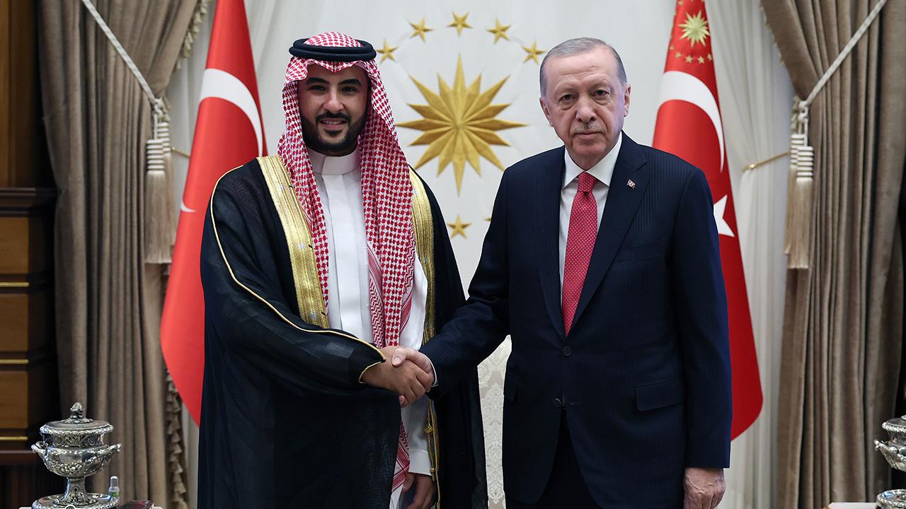erdogan-bin-selman-2250423.jpg