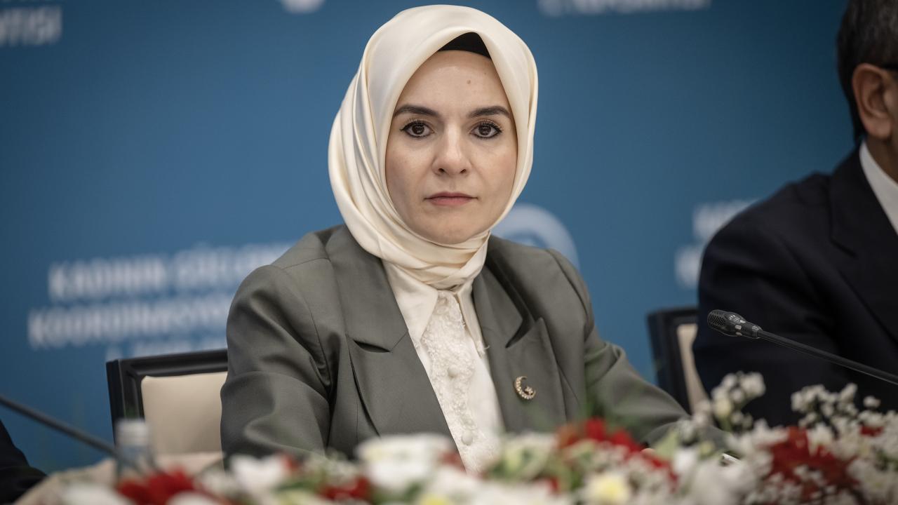 goktas-2380831.jpg