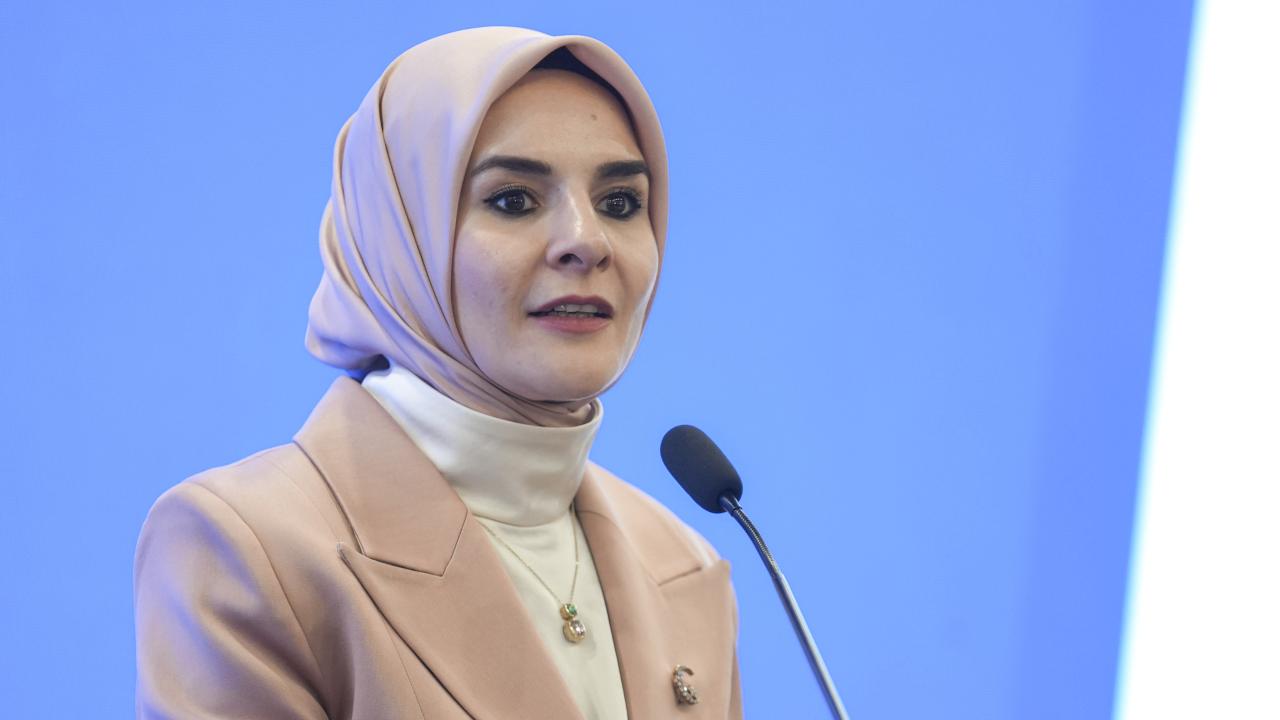 mahinur-ozdemir-goktasaa-2455434.jpg