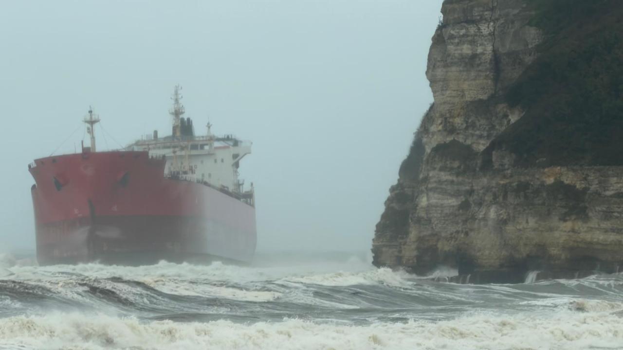 catalca-gemidha-2495714.jpg